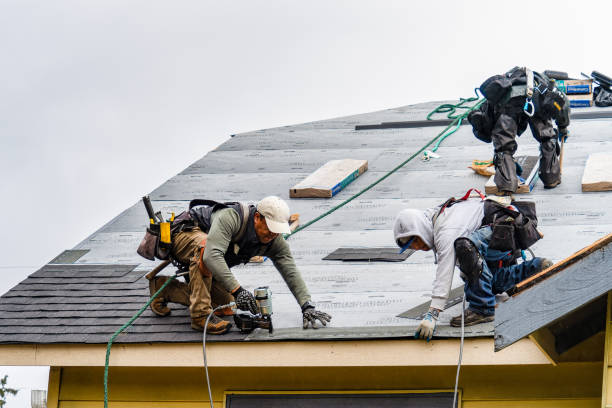 Professional Flat Roof Repair technician working in Wingate, IN